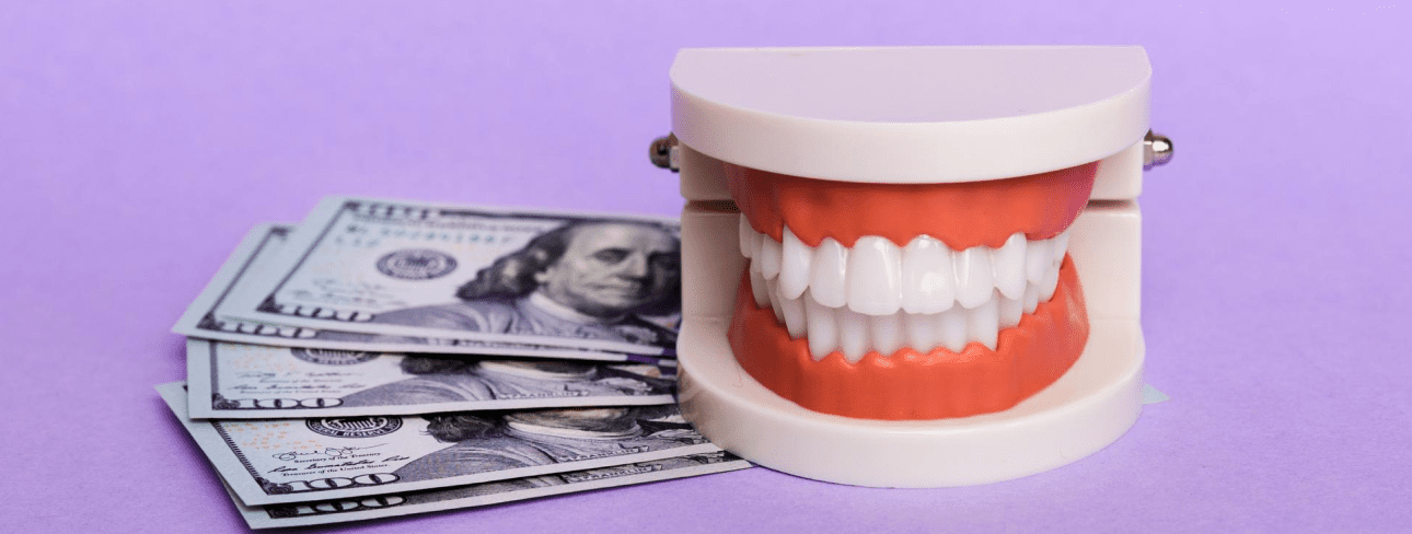 A plastic model of teeth sits beside several hundred-dollar bills on a purple background, possibly representing the cost of clear braces in Jacksonville, FL.