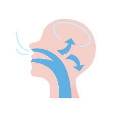 Diagram of a person's head in profile showing blue arrows representing airflow through the mouth, nose, and towards the brain in Jacksonville, FL.