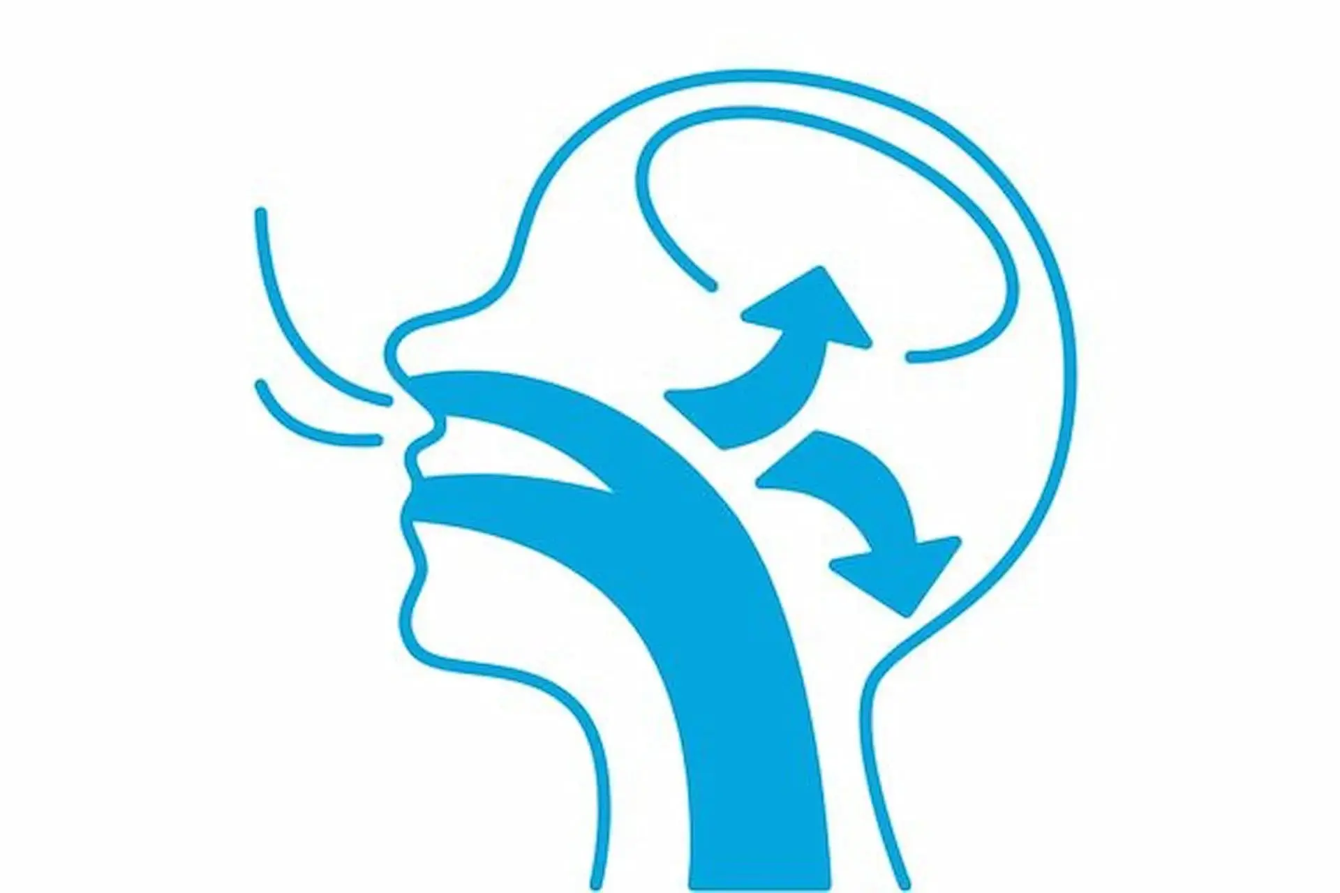 In this Bold Bite Orthodontics diagram in Jacksonville FL, blue arrows show mouth breathing airflow to the brain in a head profile. In this Bold Bite Orthodontics diagram in Jacksonville FL, blue arrows show mouth breathing airflow to the brain in a head profile.