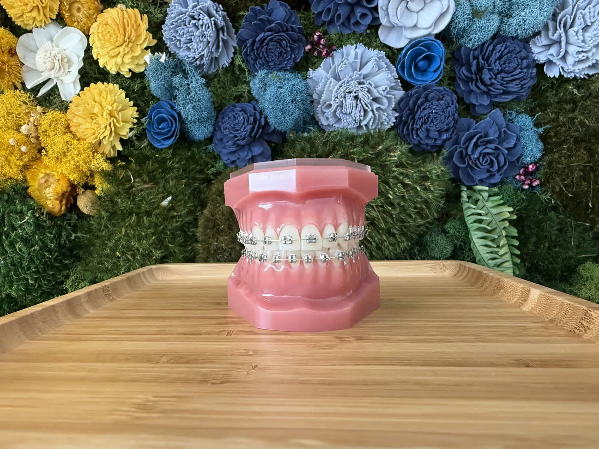 On a wooden tray, a dental model with metal braces is shown at Bold Bite Orthodontics in Jacksonville FL, with colorful flowers behind.