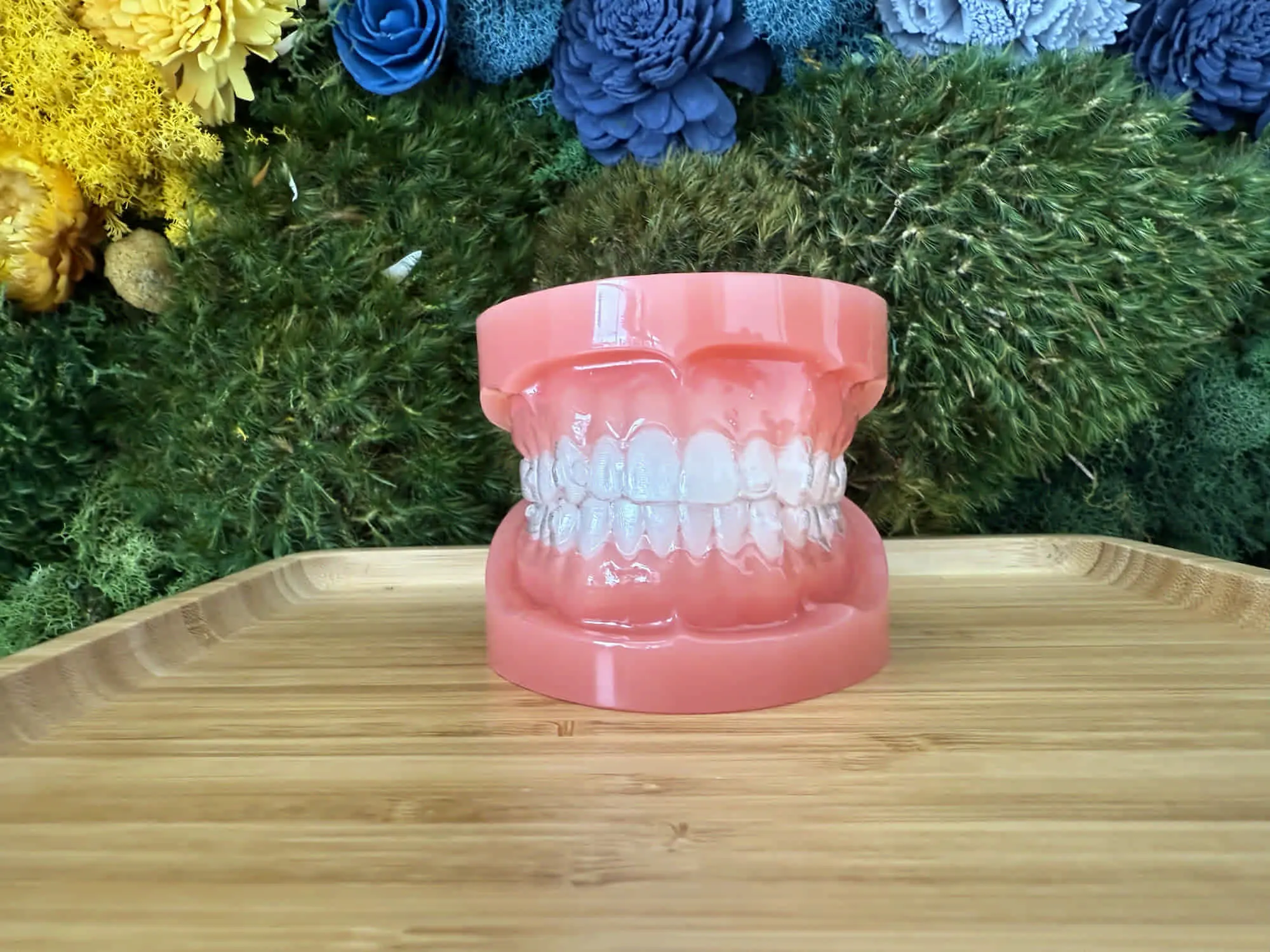 On a tray, a dental model with Invisalign aligners is shown at Bold Bite Orthodontics in Jacksonville, FL; flowers behind.