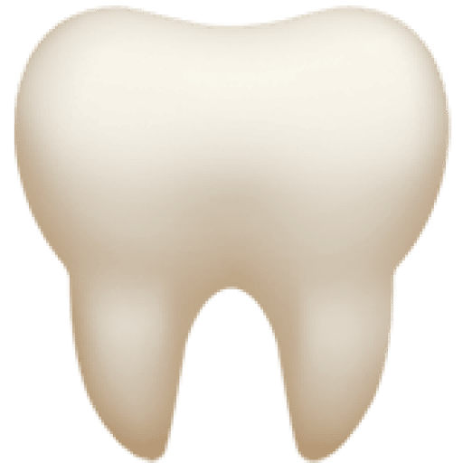 A simple white tooth illustration on a plain background, representing Bold Bite Orthodontics in Jacksonville, FL.